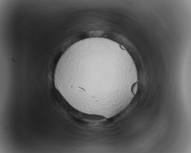 X0000087540761200705251720