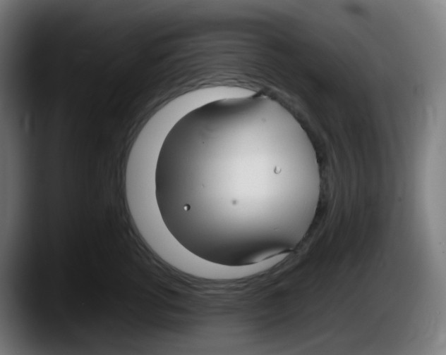 X0000087540762200705251720