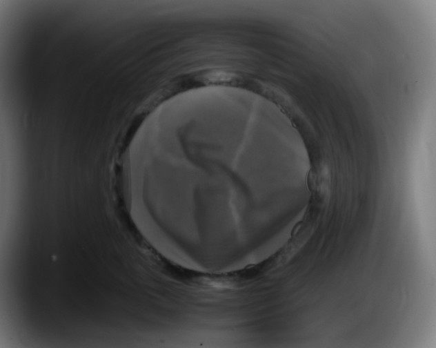 X0000087540763200705251720