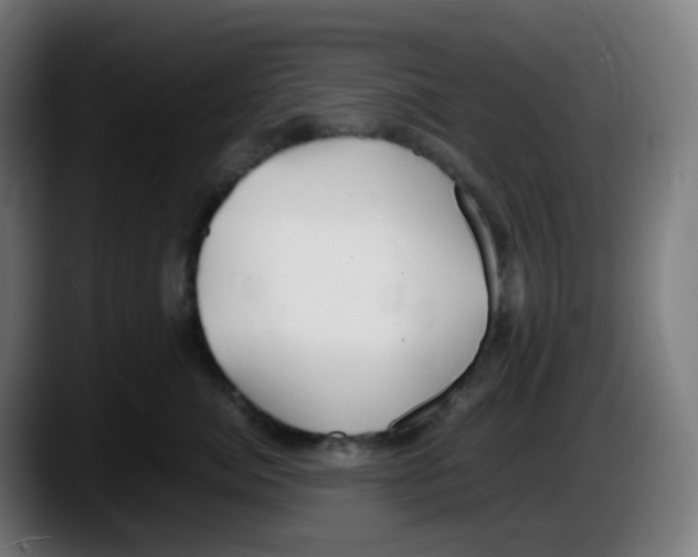 X0000087540764200705251720