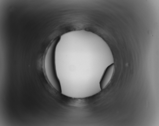 X0000087540768200705251720