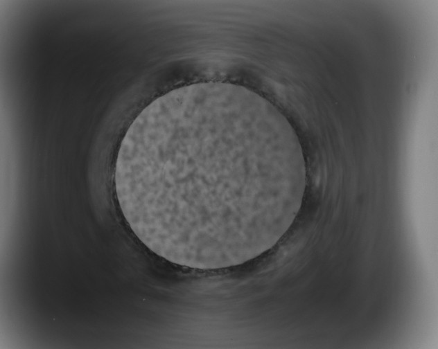 X0000087540769200705251719