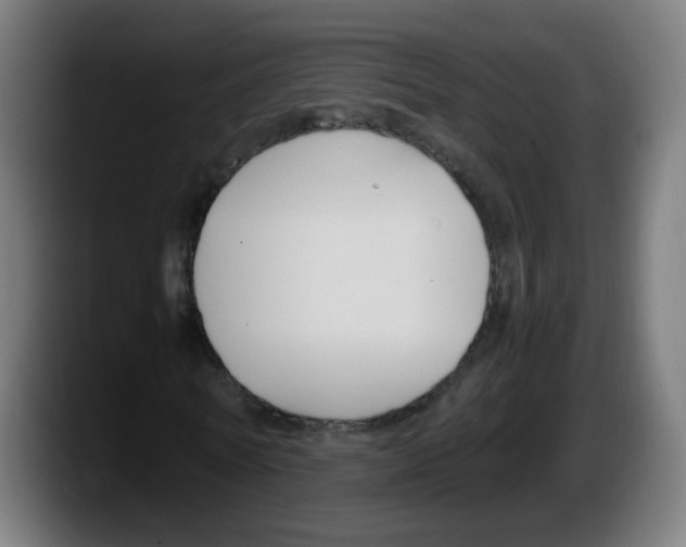 X0000087540770200705251719