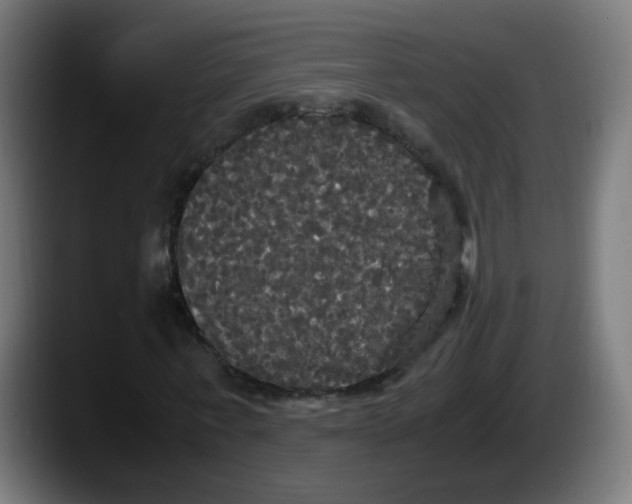 X0000087540771200705251719