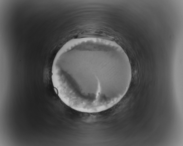 X0000087540772200705251719