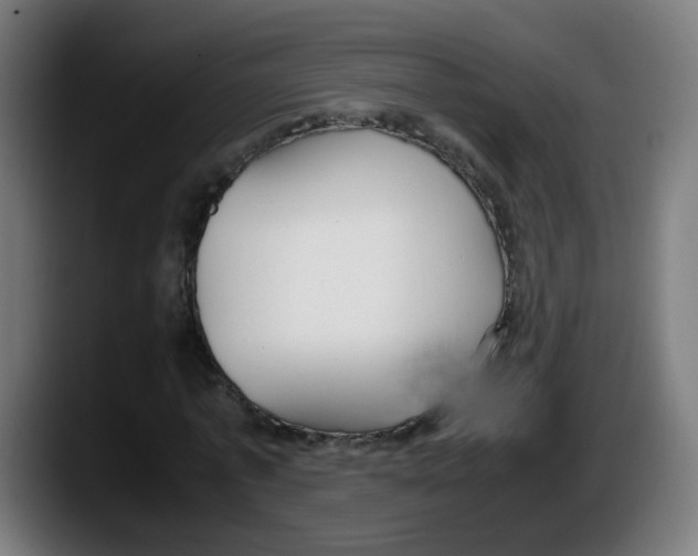 X0000087540773200705251719