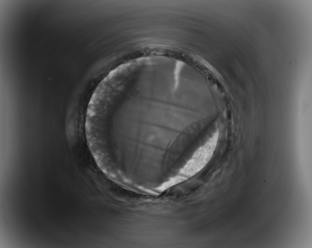 X0000087540775200705251719