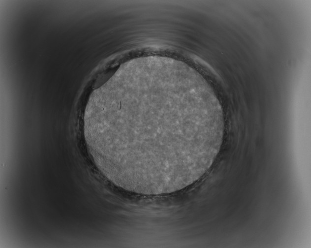 X0000087540776200705251719