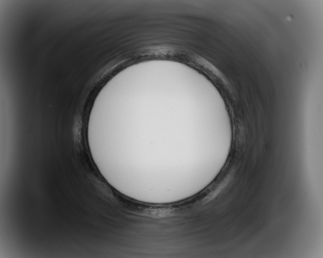 X0000087540778200705251719