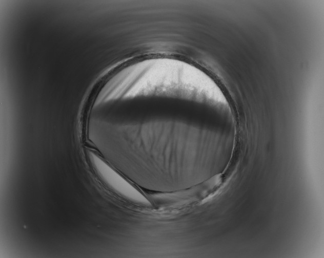 X0000087540779200705251719