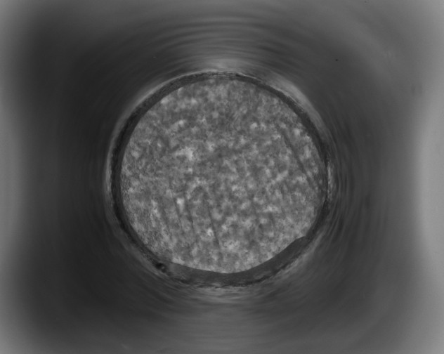 X0000087540780200705251719