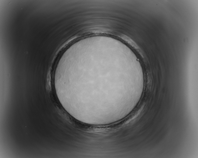 X0000087540782200705251719