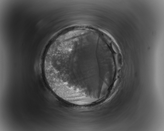 X0000087540783200705251719