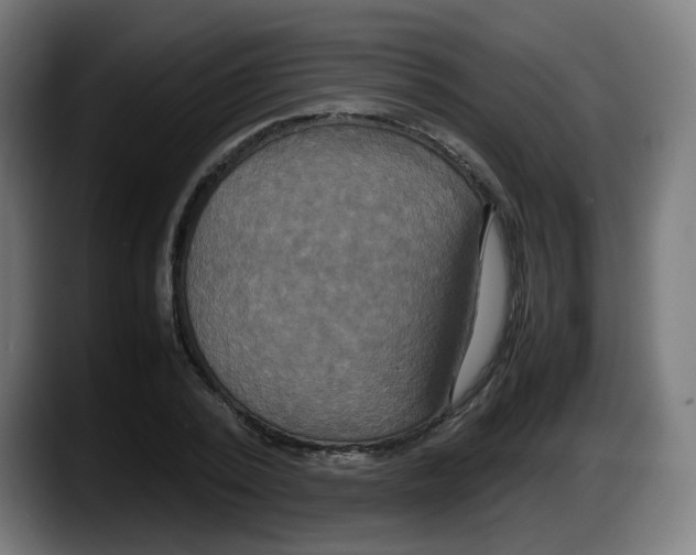 X0000087540784200705251719