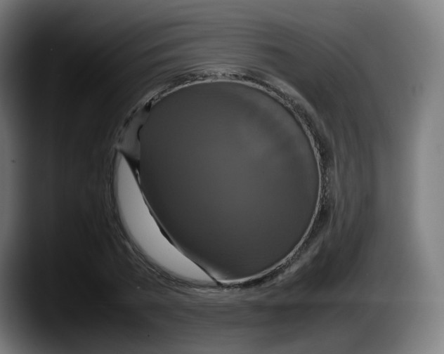 X0000087540785200705251719