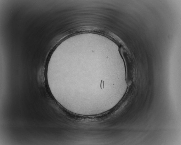 X0000087540786200705251719