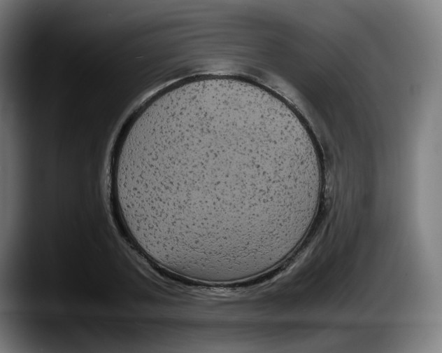 X0000087540787200705251719