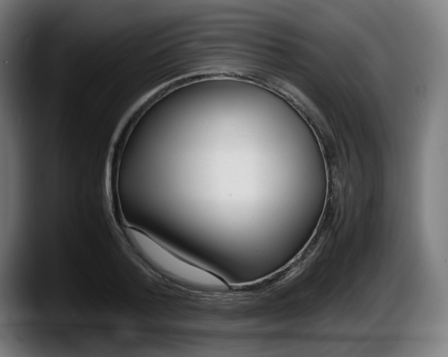 X0000087540788200705251719