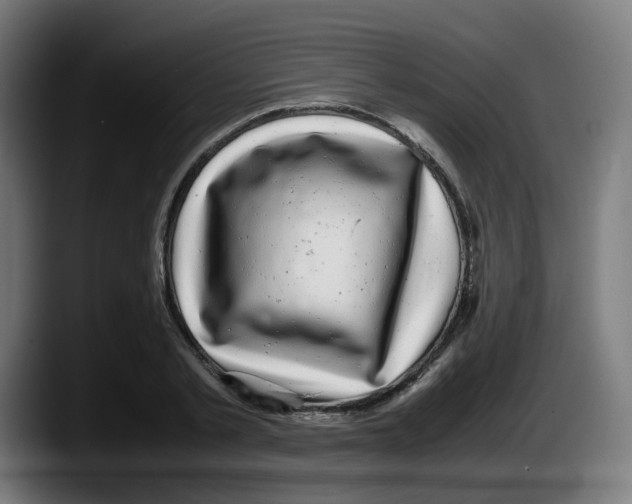 X0000087540789200705251719