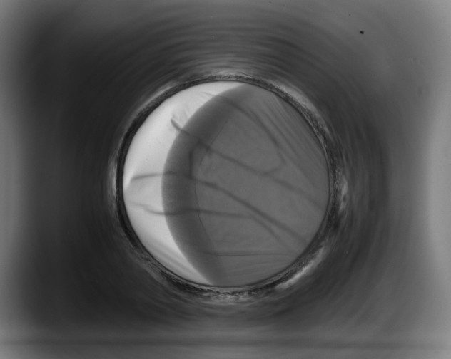 X0000087540790200705251719