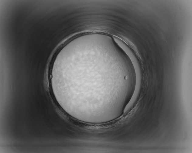 X0000087540792200705251719