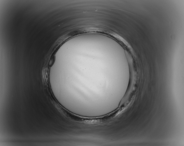 X0000087540793200705251719