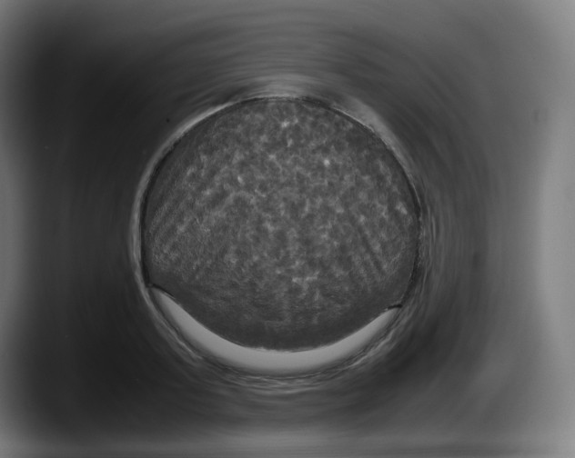 X0000087540795200705251719