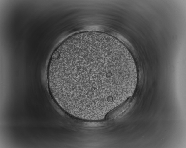 X0000087540800200705251719