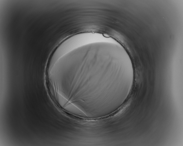 X0000087540802200705251719