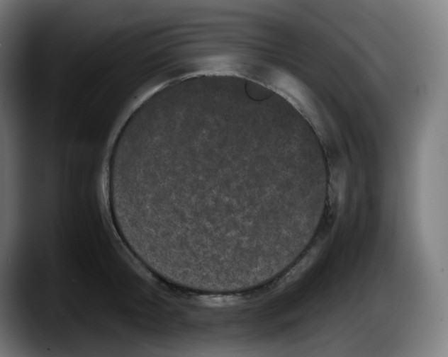 X0000087540804200705251719