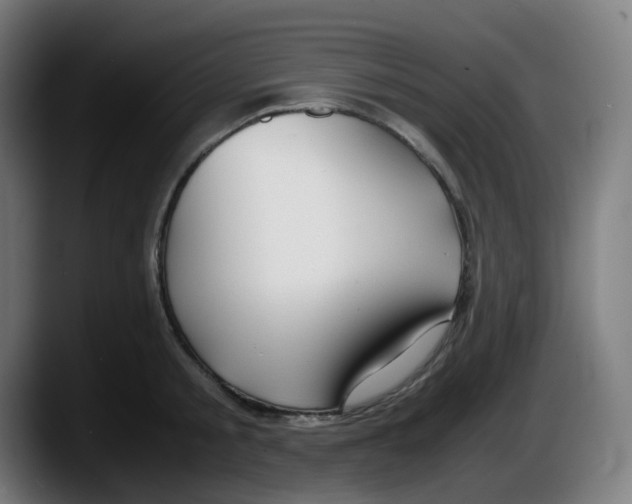 X0000087540805200705251719