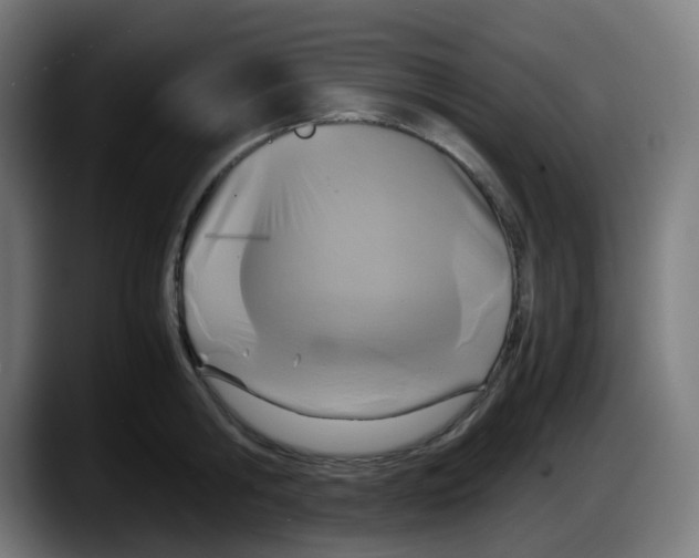 X0000087540806200705251719