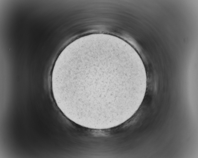 X0000087540807200705251719