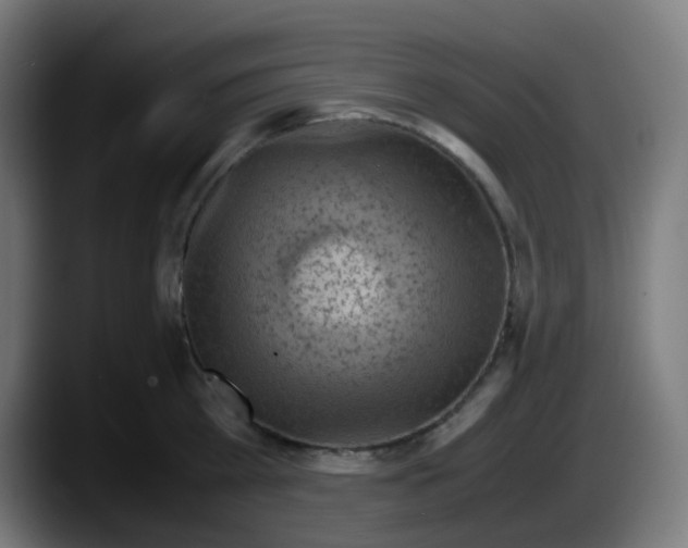 X0000087540809200705251719