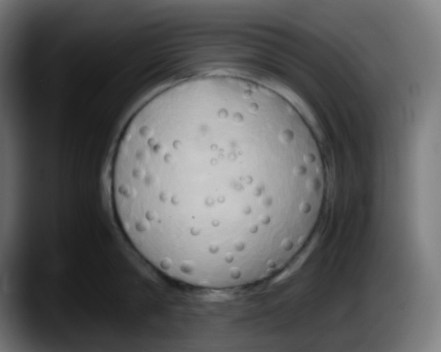 X0000087540814200705251718