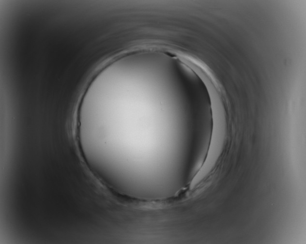 X0000087540815200705251718