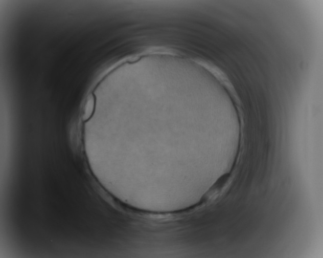 X0000087540816200705251718