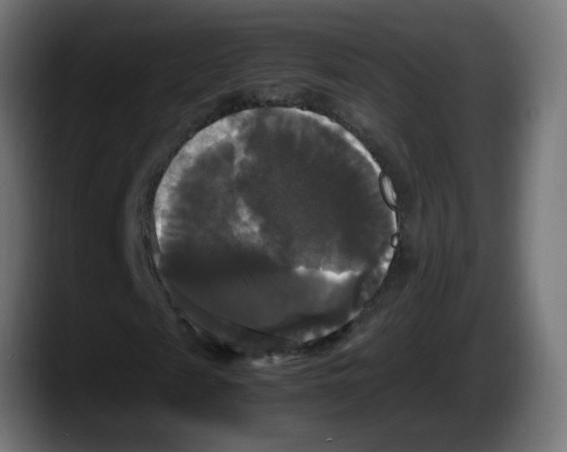 X0000087540817200705251718