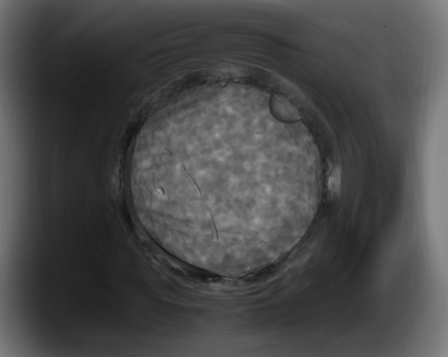 X0000087540819200705251718