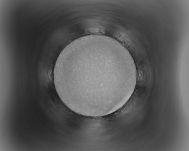 X0000087540820200705251718