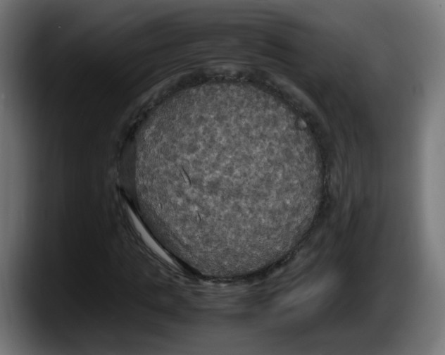 X0000087540821200705251718