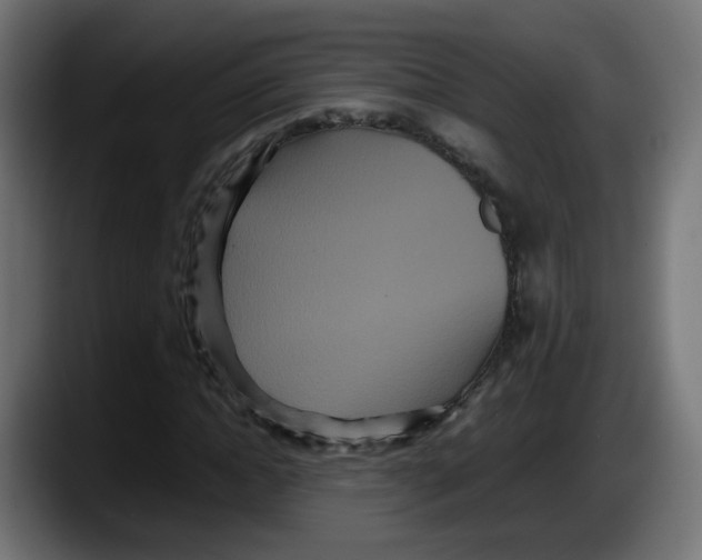 X0000087540822200705251718