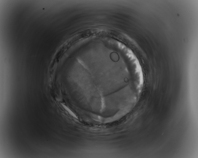 X0000087540823200705251718