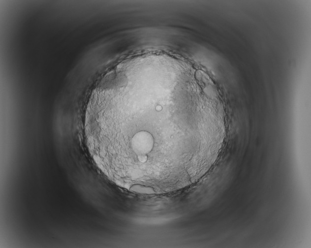 X0000087540824200705251718