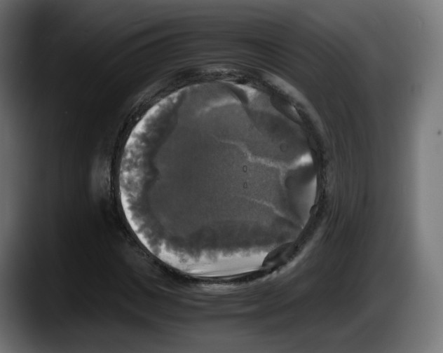 X0000087540825200705251718