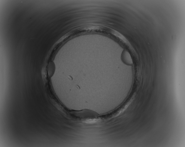 X0000087540826200705251718