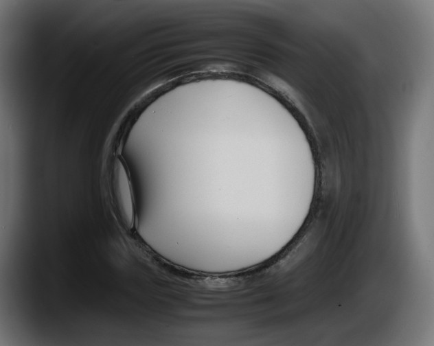 X0000087540827200705251718