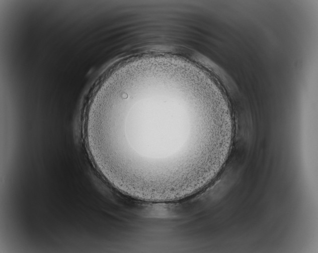 X0000087540828200705251718