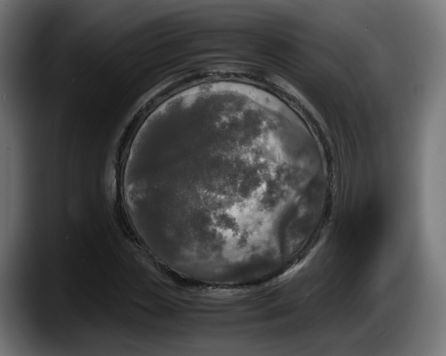 X0000087540829200705251718