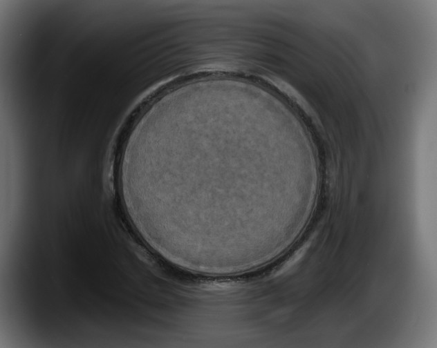 X0000087540830200705251718